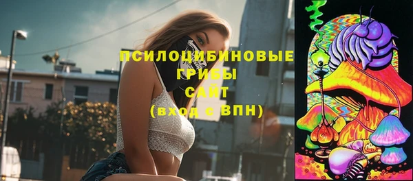 дурь Богородицк