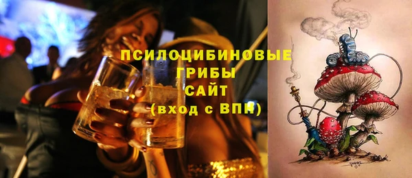 дурь Богородицк
