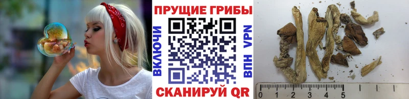 как найти закладки  kraken зеркало  Галлюциногенные грибы GOLDEN TEACHER  Сретенск 